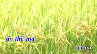 Karaoke Cần Một Thứ Gọi Là Tình Yêu – Khánh Đơn