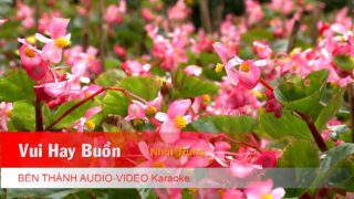 [Karaoke] Vui Hay Buồn