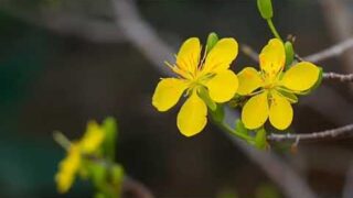 Karaoke Mùa đông Anh lại một Mình