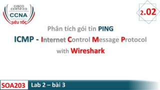 [ Wireshark ] – Bắt gói và PHÂN TÍCH gói tin lệnh PING – ICMP với Wireshark | CCNA Siêu Tốc | 05
